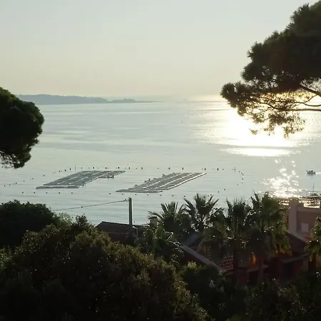 公寓 Tres Belle Vue Mer Dans Un Ecrin De Verdure *