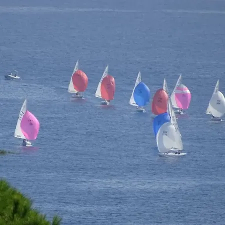 Tres Belle Vue Mer Dans Un Ecrin De Verdure 公寓