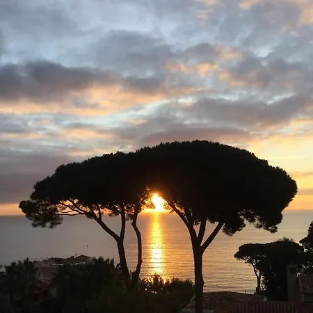 公寓 Tres Belle Vue Mer Dans Un Ecrin De Verdure