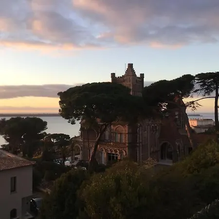 Tres Belle Vue Mer Dans Un Ecrin De Verdure 戛纳